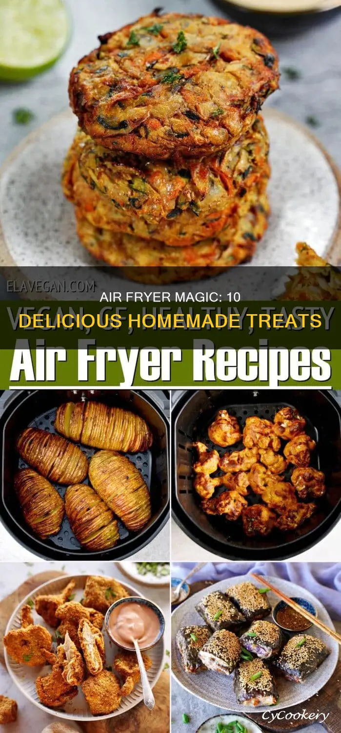 what can i make homemade with an air fryer cooker