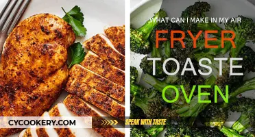 Creative Air Fryer Toaster Oven Recipes for You