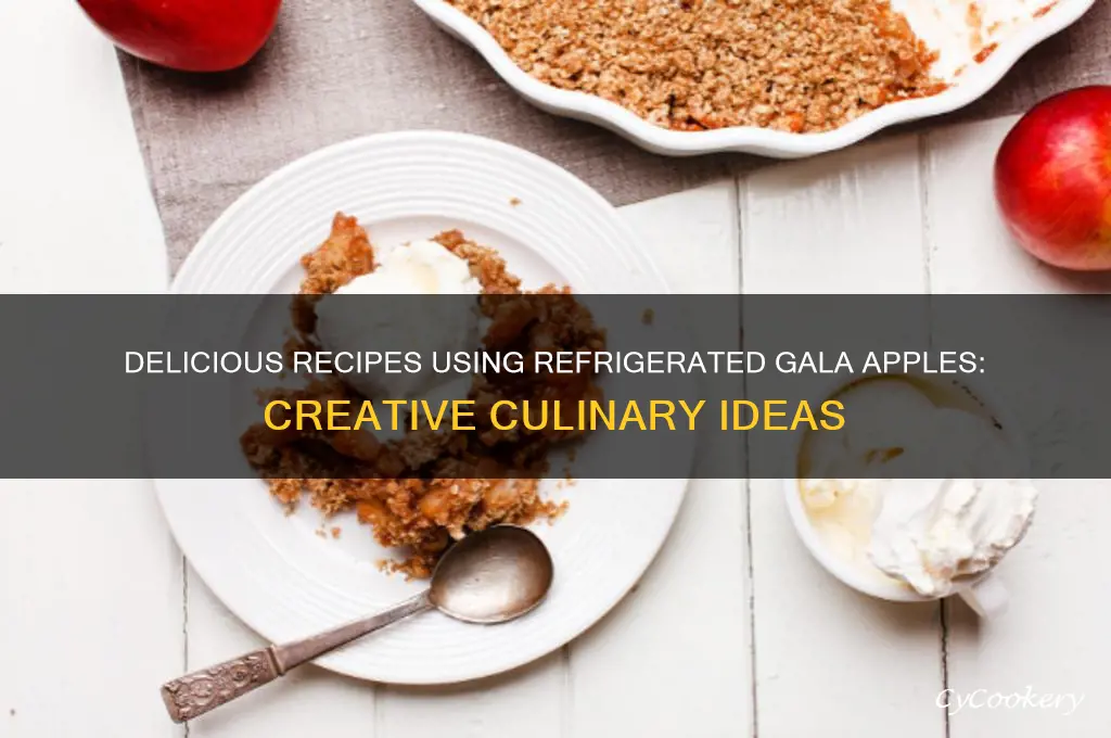 what can i make with refrigerated gala apple