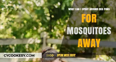 Keep Mosquitoes Away from Dog Pans: Natural Spray Solutions