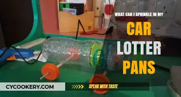 Spruce Up Car Litter Pans With These Smart Solutions