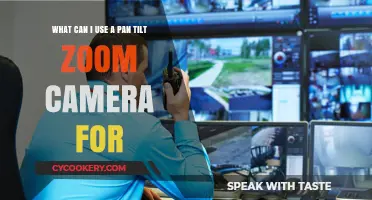 Surveillance and Creative Camera Work with PTZ Cameras
