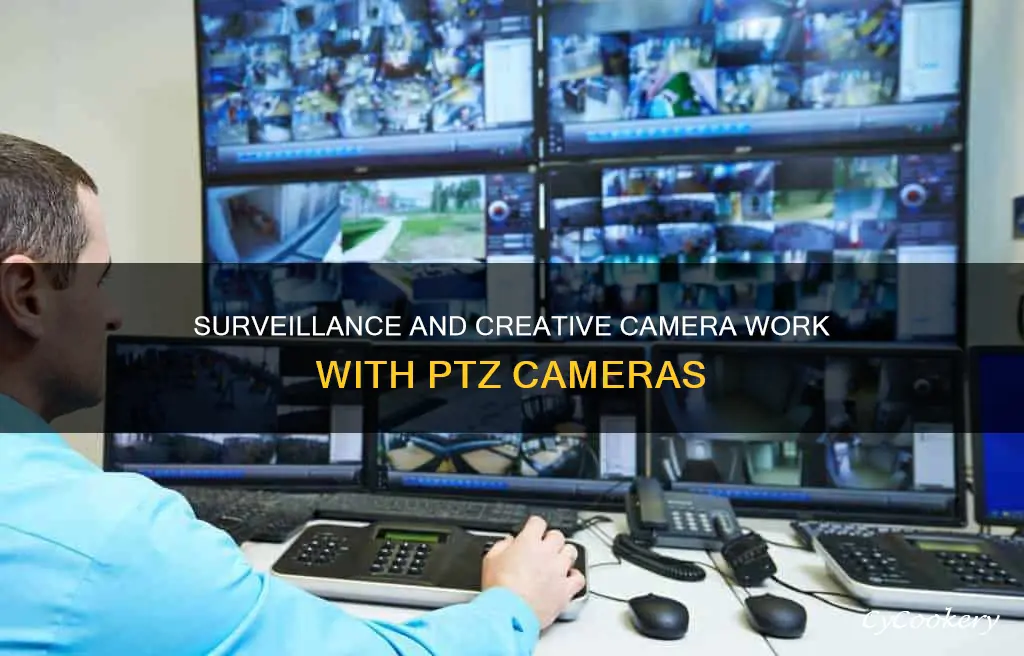 what can I use a pan tilt zoom camera for