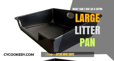 Extra-Large Litter Pan: Creative Solutions for Your Feline Friend