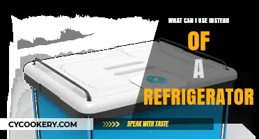 Cooling Alternatives: Creative Solutions to Replace Your Refrigerator at Home