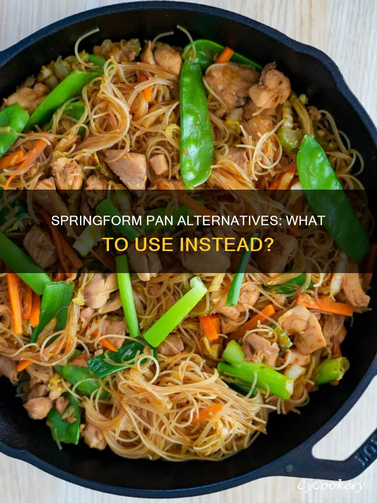 what can I use instead of a springform pan