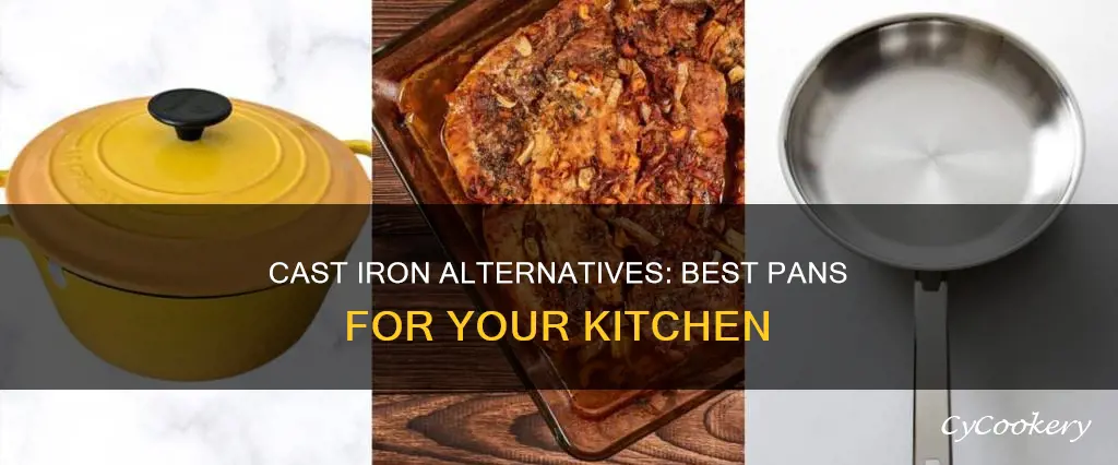 what can I use instead of cast iron fry pan
