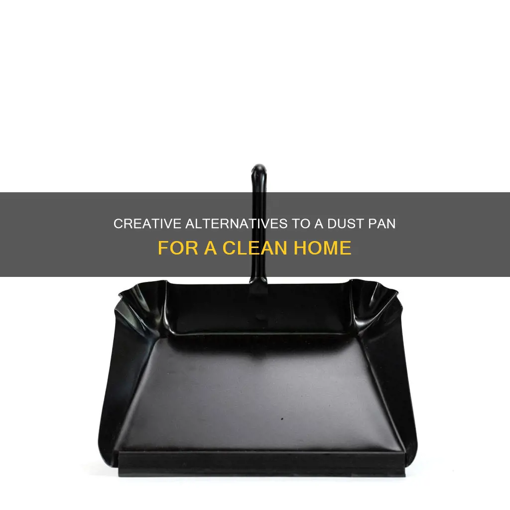 what can I use instead of dust pan