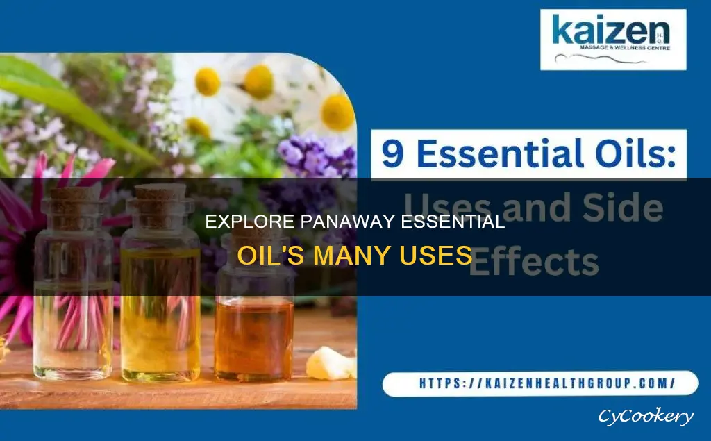 what can I use the essential oil pan way for