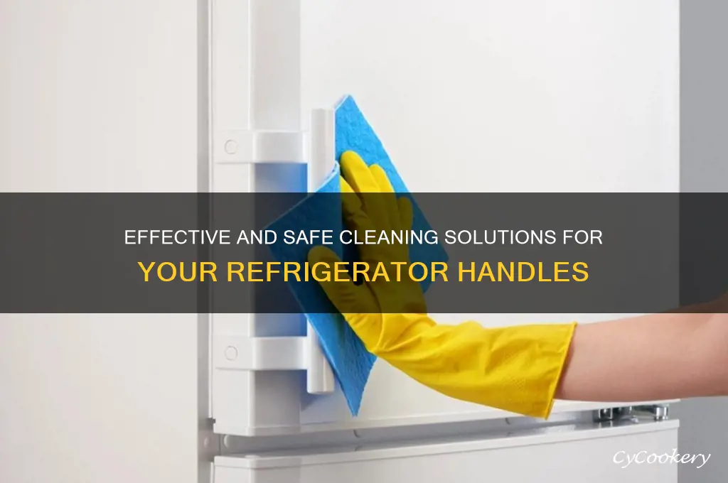 what can i use to clean my refrigerator handles