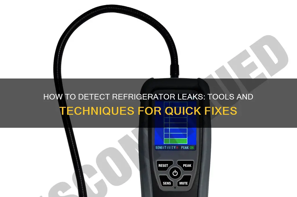 what can i use to find leak on refrigerator
