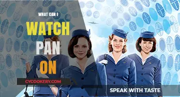 Best Pans to Savor Streaming Services