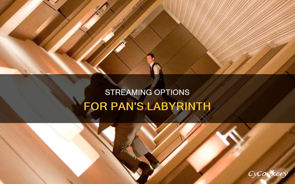 what can I watch pan
