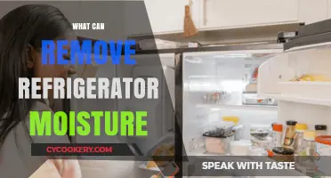 Effective Ways to Eliminate Moisture from Your Refrigerator