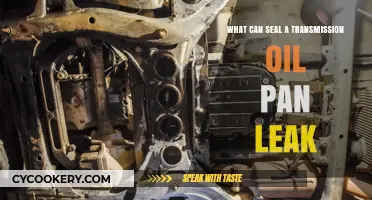 Transmission Oil Pan Leak: Sealing Solutions