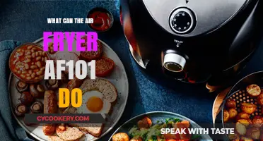 Air Fryer AF101: Your Ultimate Kitchen Companion