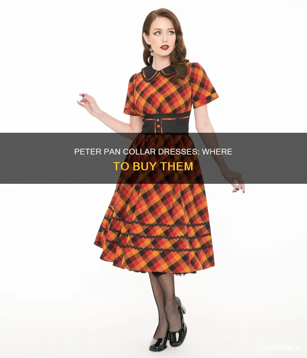 what can you buy peter pan collar dresses