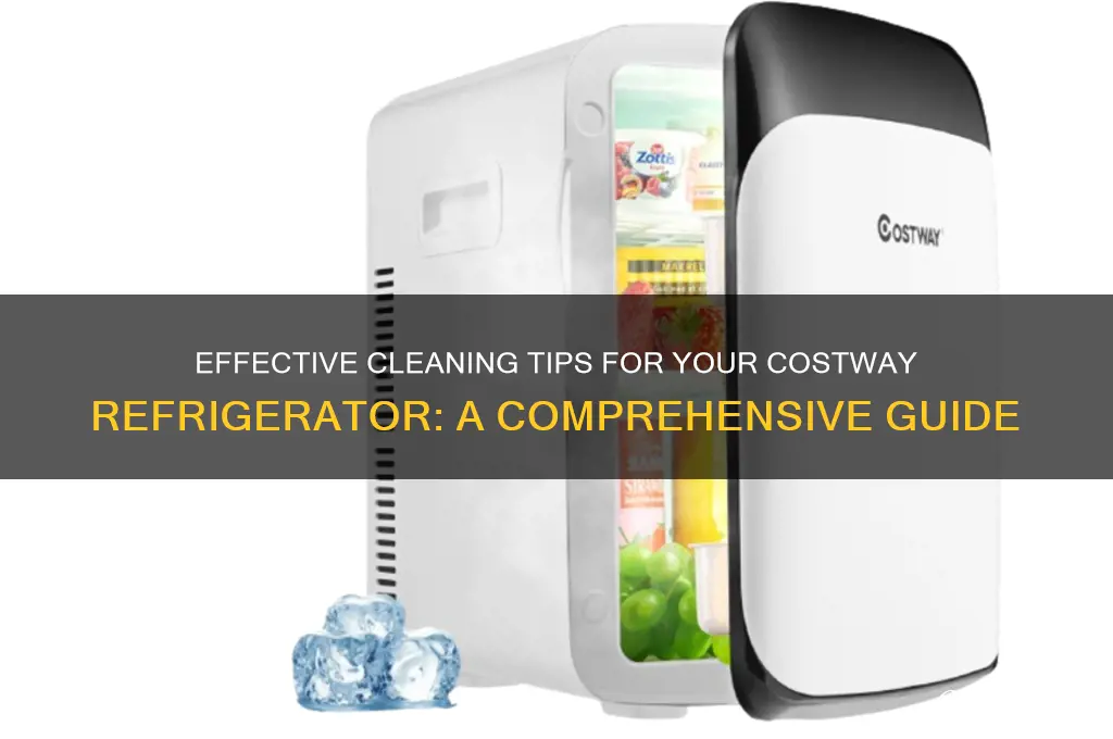 what can you clean a costway refrigerator
