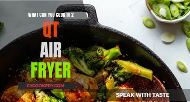 Air Fryer Magic: 2-Quart Delights for Quick, Healthy Meals