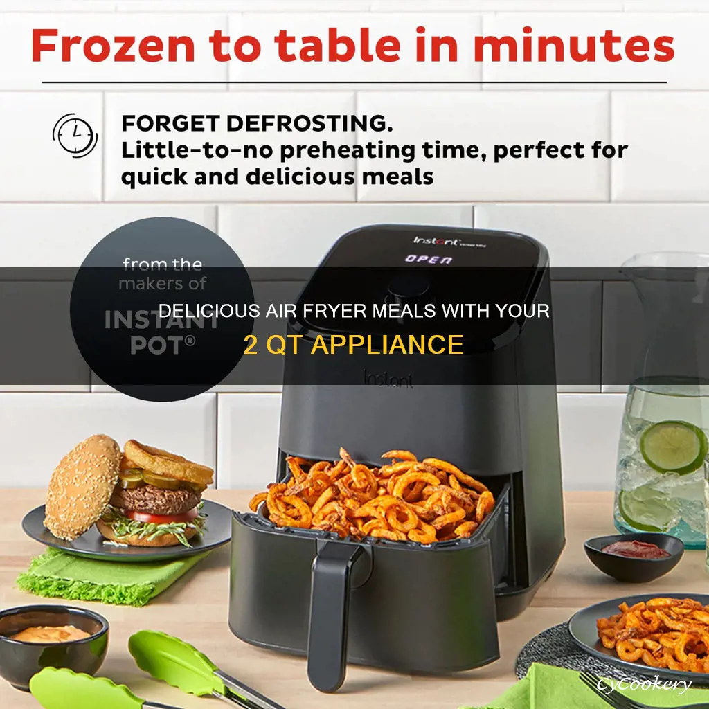 what can you cook in 2 qt air fryer