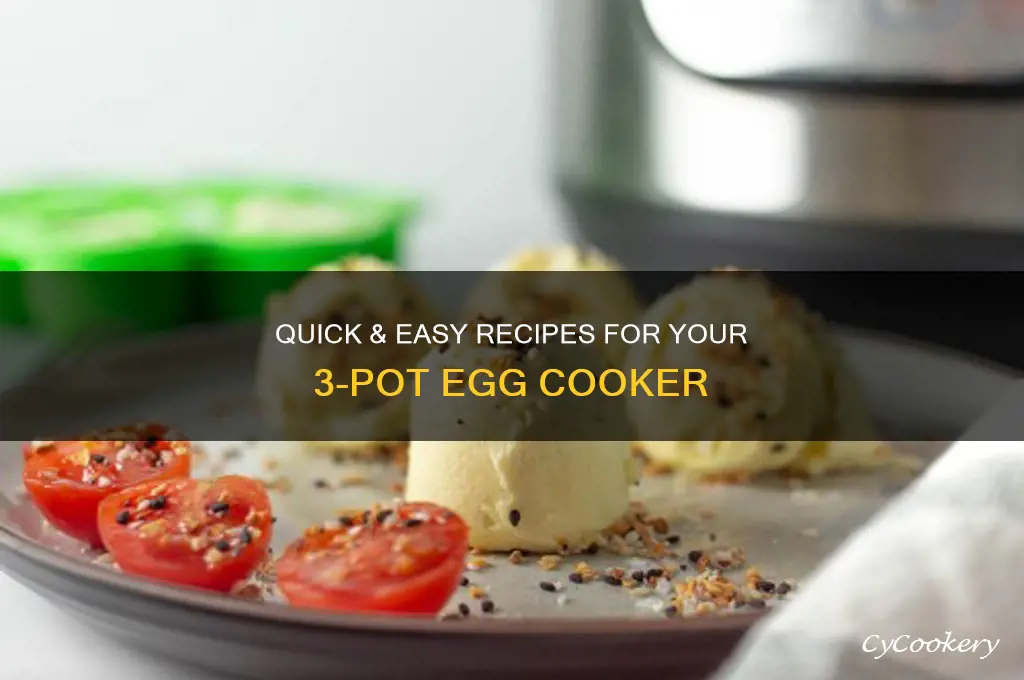 what can you cook in 3 pot egg cooker
