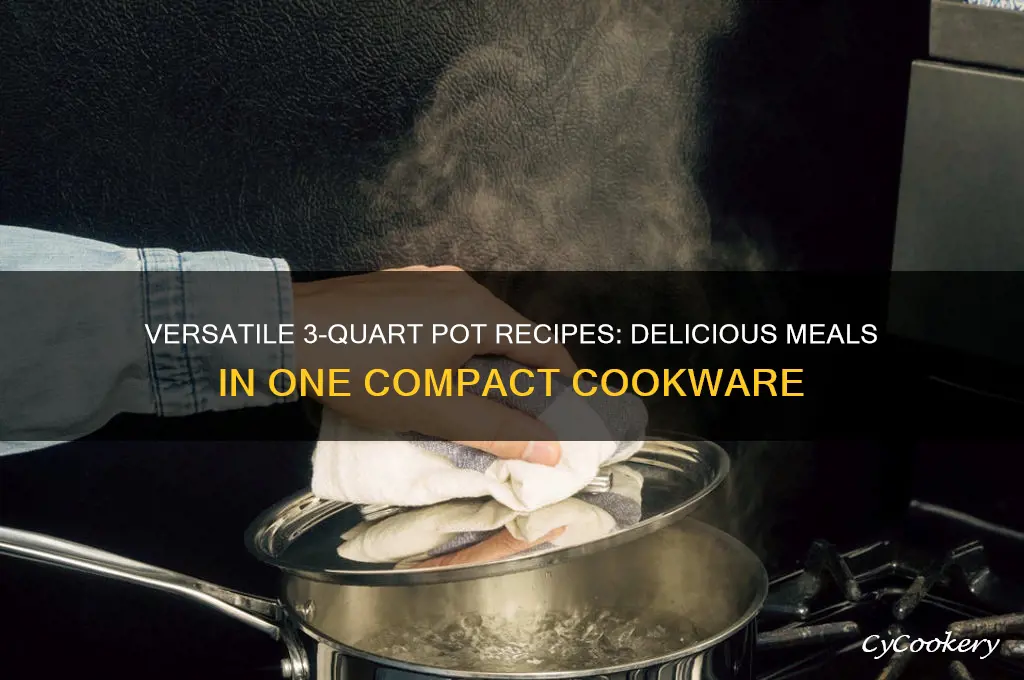 what can you cook in a 3 quart pot