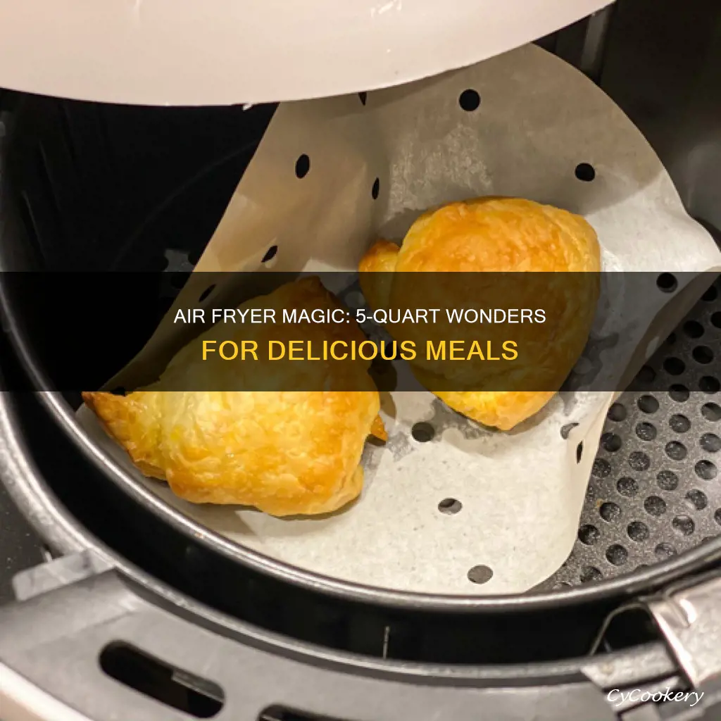 what can you cook in a 5 quart air fryer