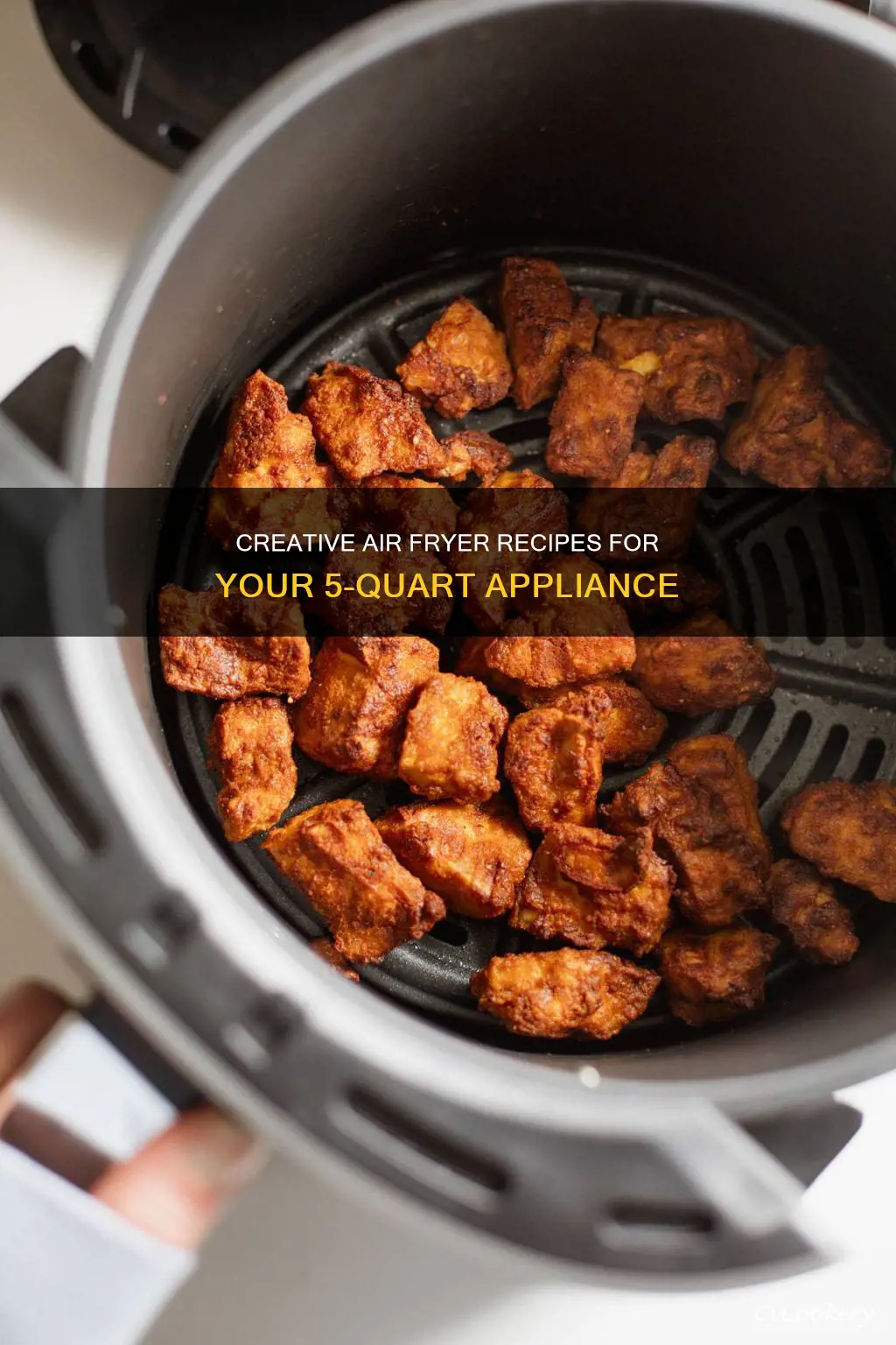what can you cook in a 5 quart air fryer