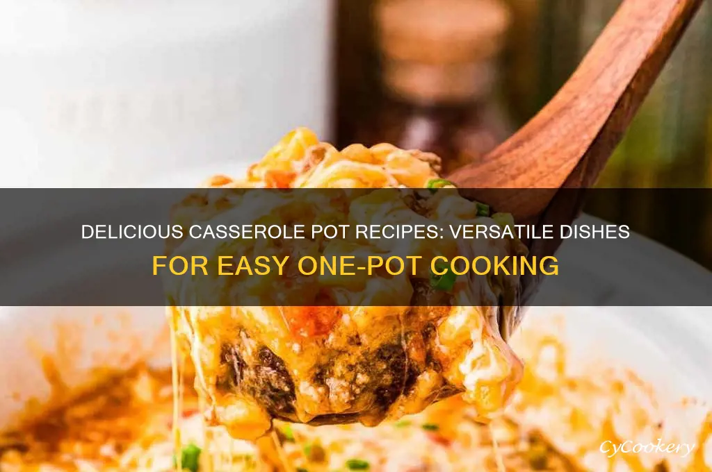 what can you cook in a casserole pot