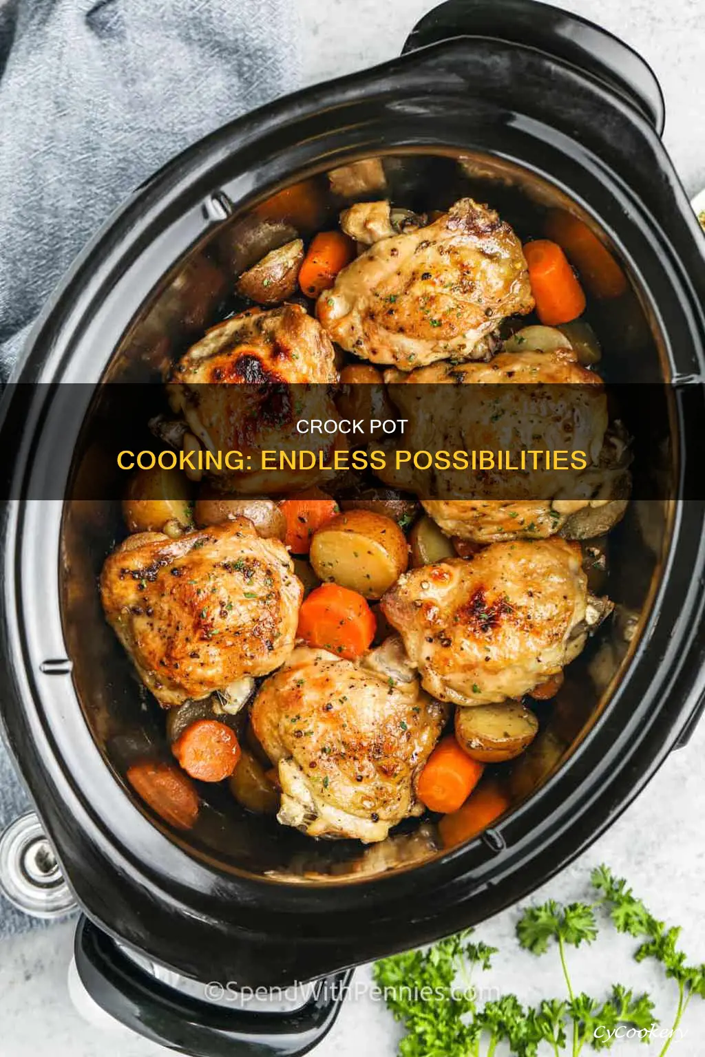 what can you cook in a crock pot