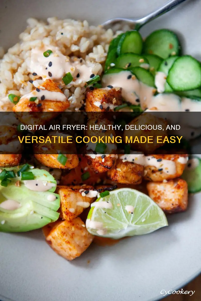 what can you cook in a digital air fryer