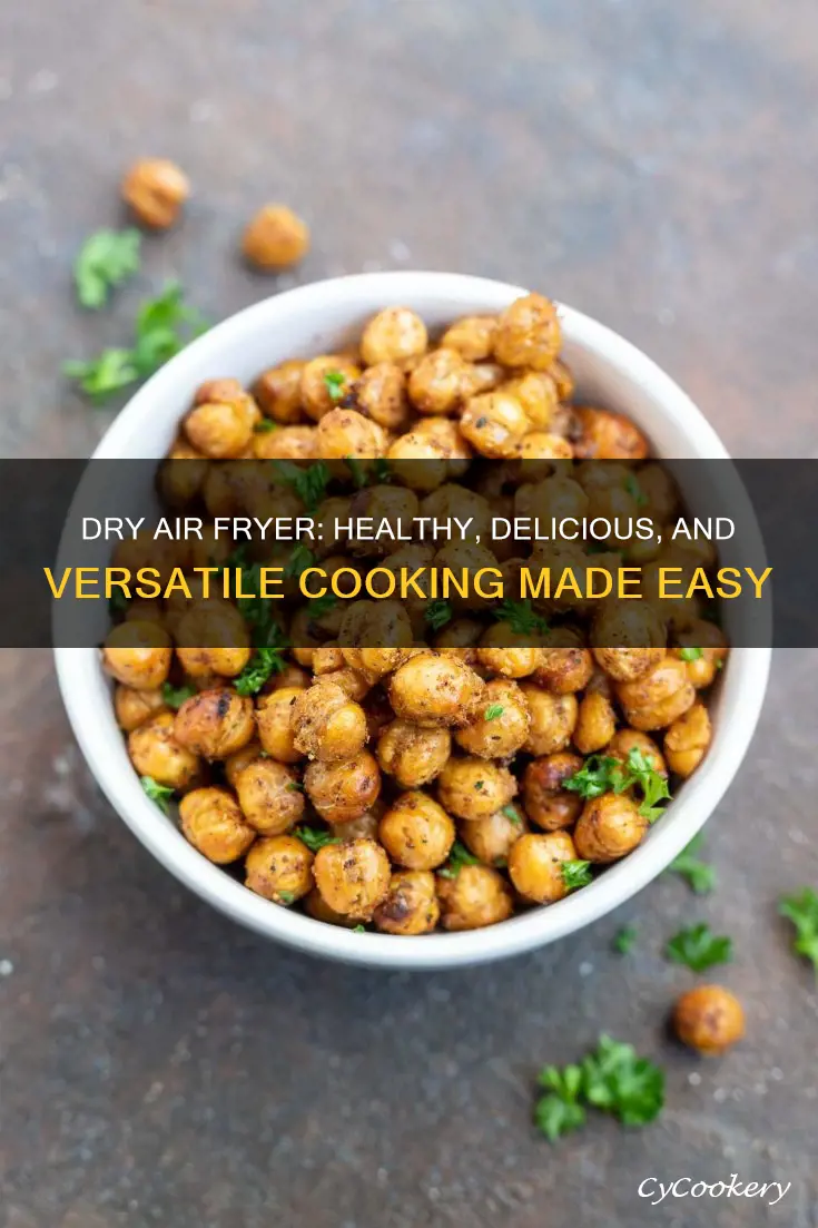 what can you cook in a dry air fryer