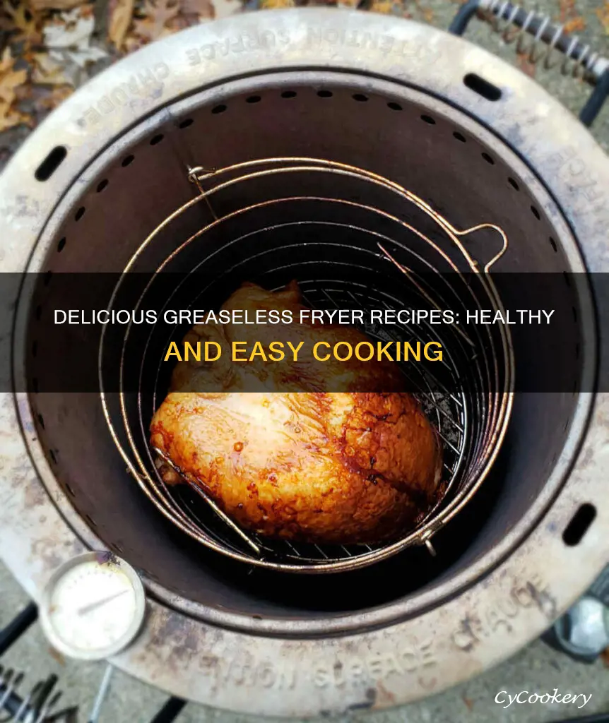 what can you cook in a greaseless fryer