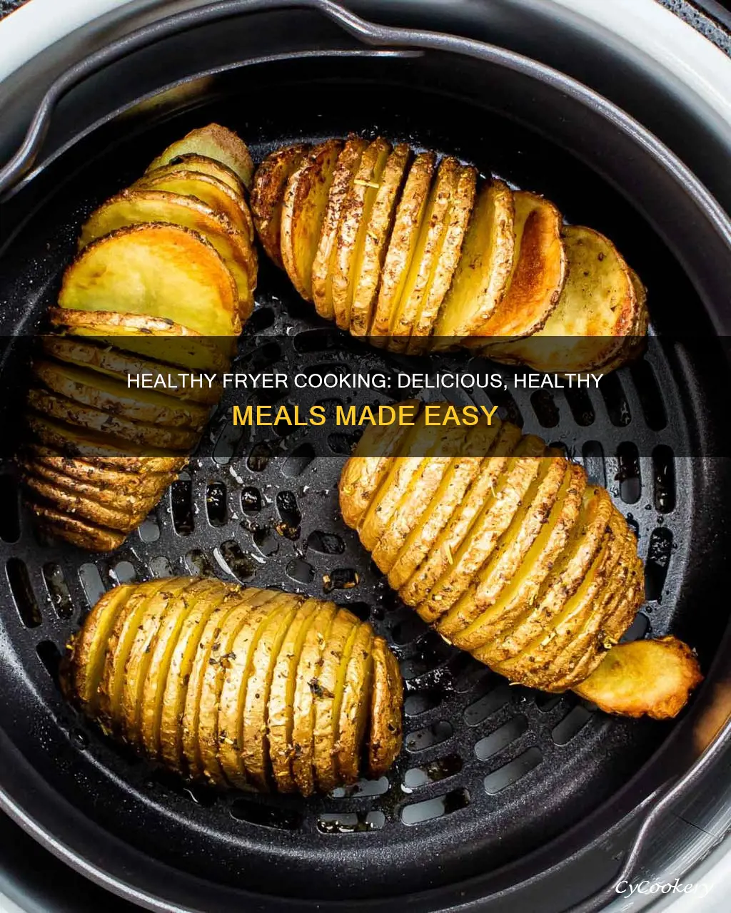 what can you cook in a health fryer