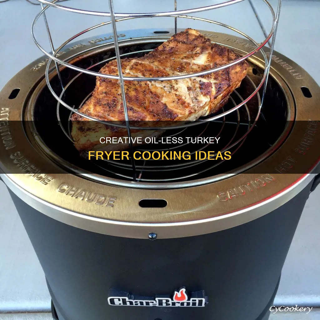 what can you cook in a oillessturkey fryer