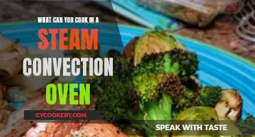 Steam Convection Oven: Master Versatile Cooking with One Appliance