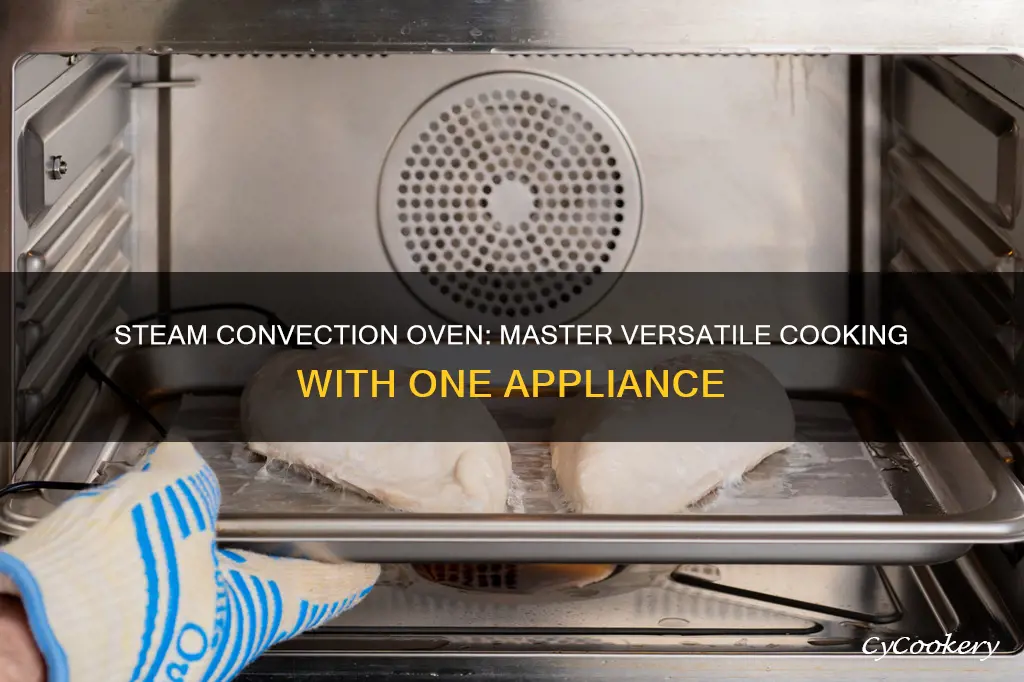 what can you cook in a steam convection oven