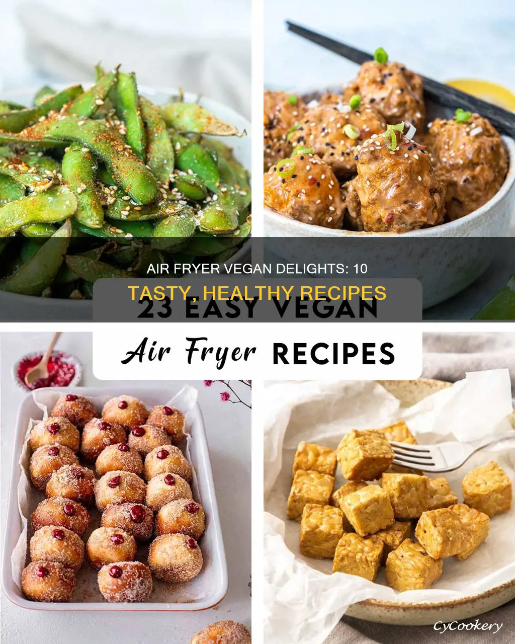 what can you cook in an air fryer vegan