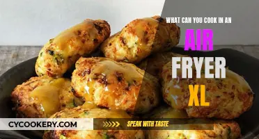 Air Fryer XL: 10 Delicious Dishes You Can Cook