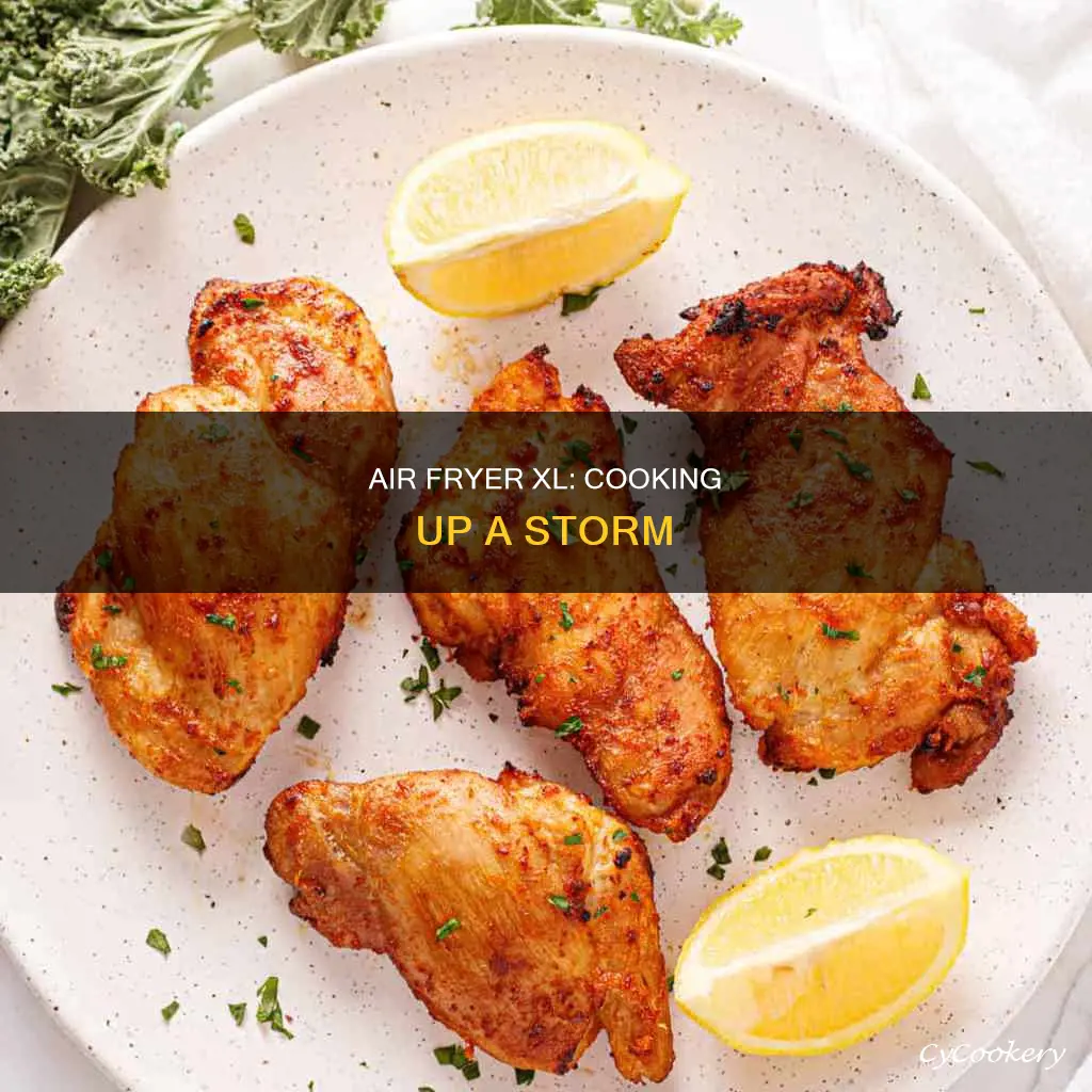 what can you cook in an air fryer xl