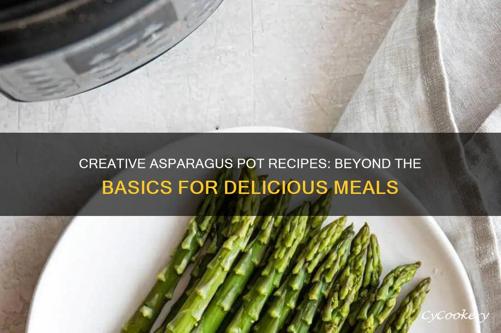 what can you cook in an asparagus pot