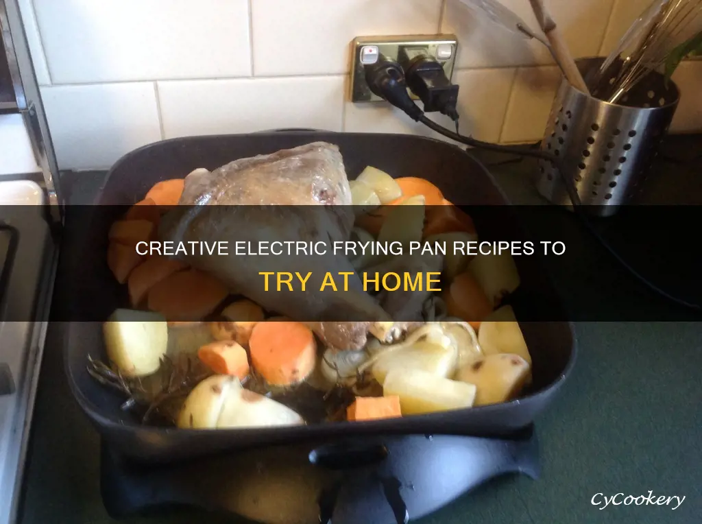 what can you cook in an electric frying pan