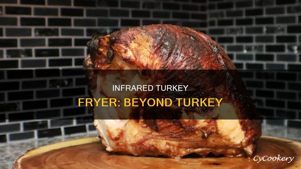 what can you cook in an infrared turkey fryer