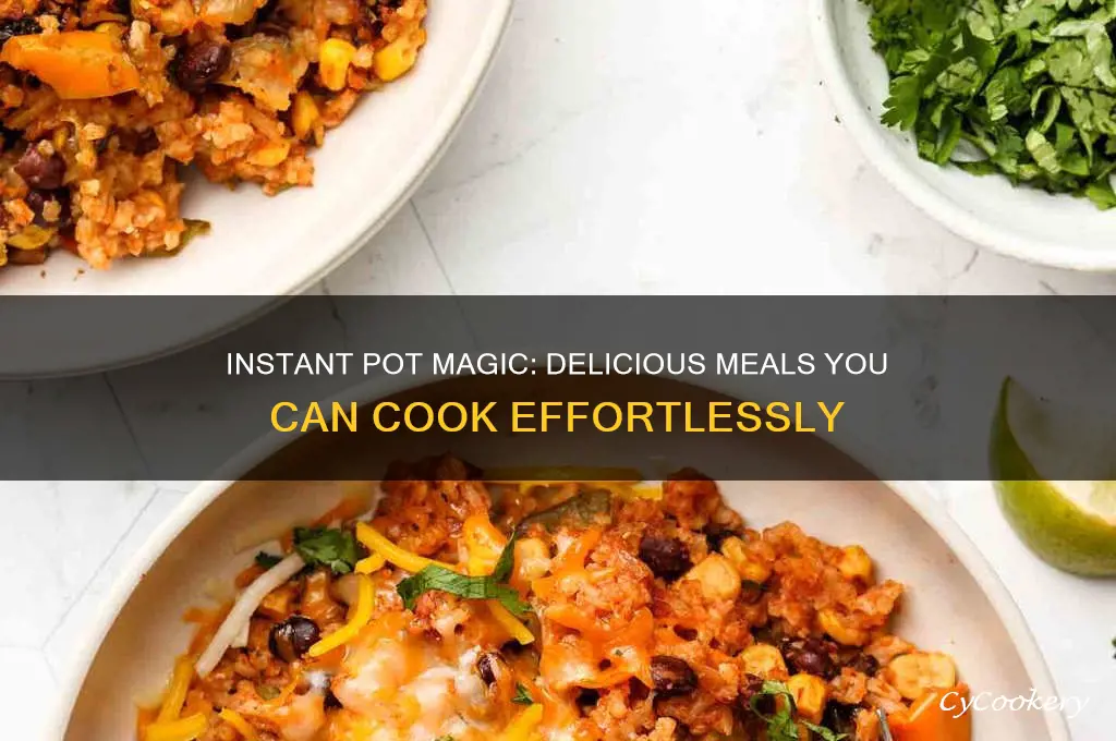 what can you cook in an insant pot