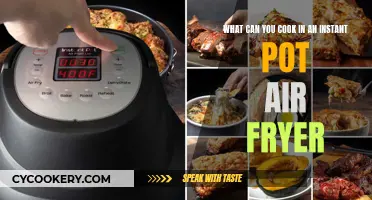 Instant Pot Air Fryer: 10 Delicious Dishes You Can Cook in Minutes