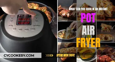 Instant Pot Air Fryer: Endless Cooking Possibilities