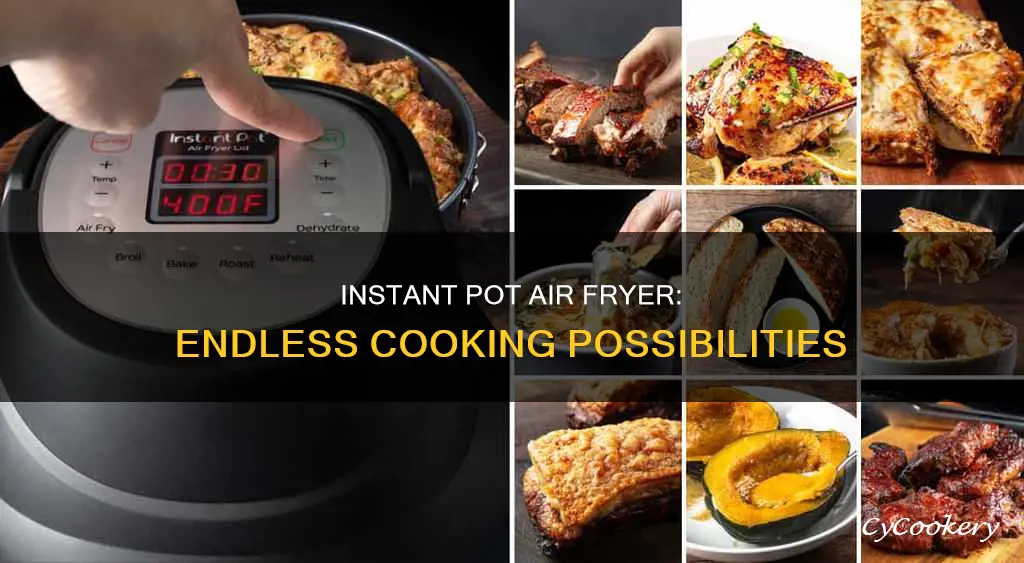 what can you cook in an instant pot air fryer
