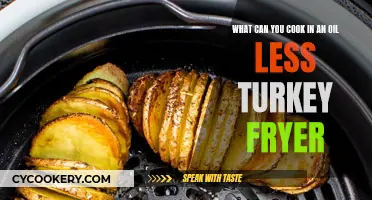 Creative Oil-less Turkey Fryer Recipes for Thanksgiving