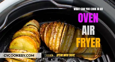Creative Air Fryer Oven Recipes You Should Try