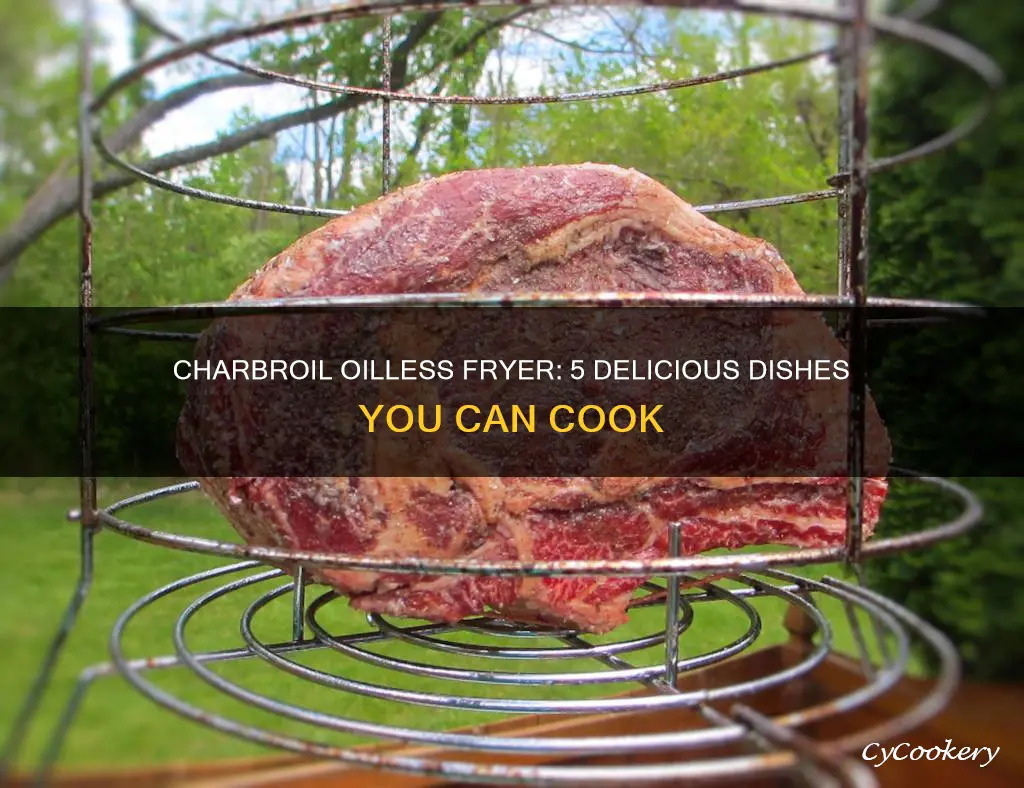 what can you cook in charbroil oilless fryer